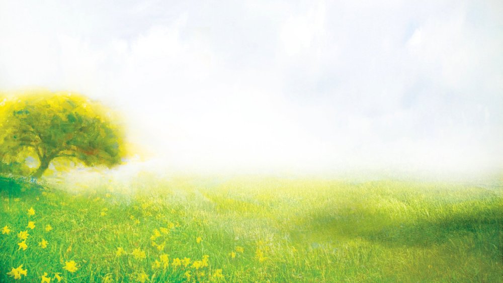 Фон природа для детей