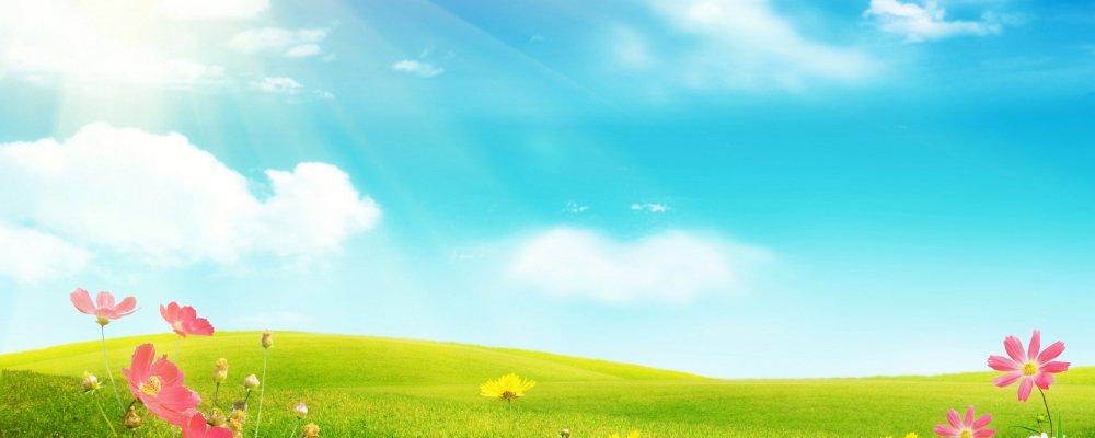 Летний фон для презентации