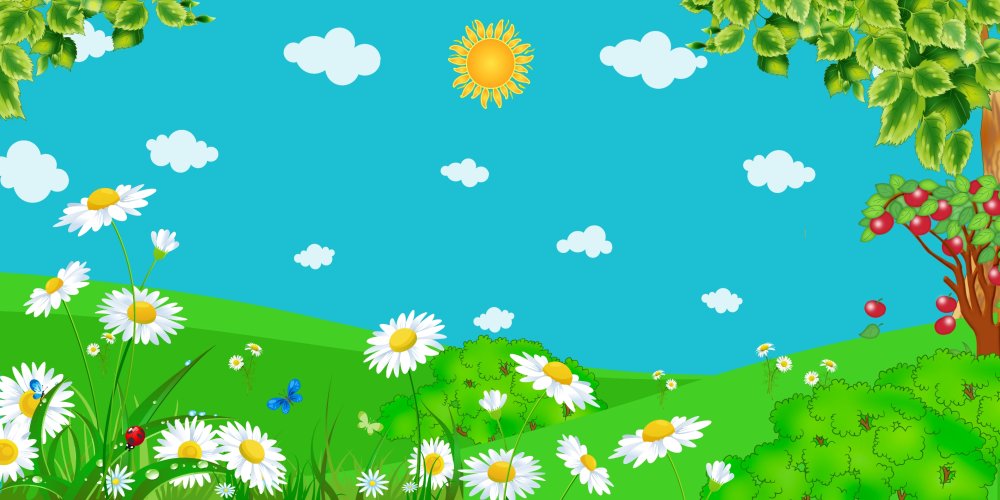 Баннер с бабочками