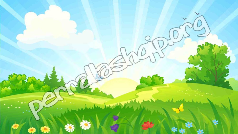 Поляна с цветами