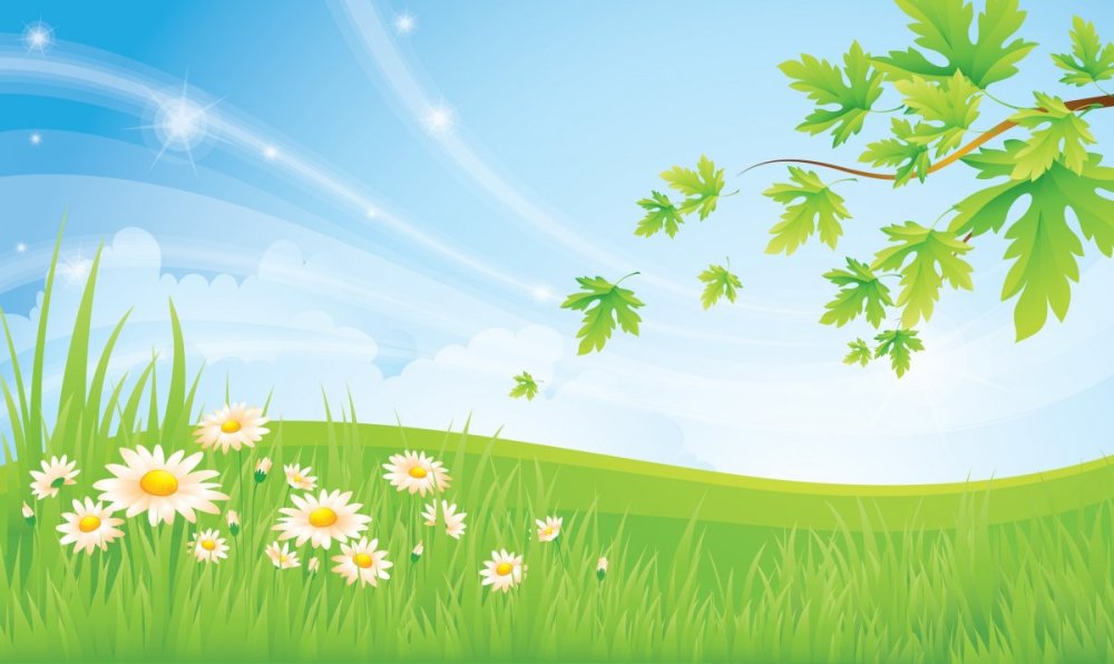 Разноцветное лето