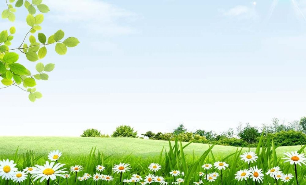 Фон детский сад