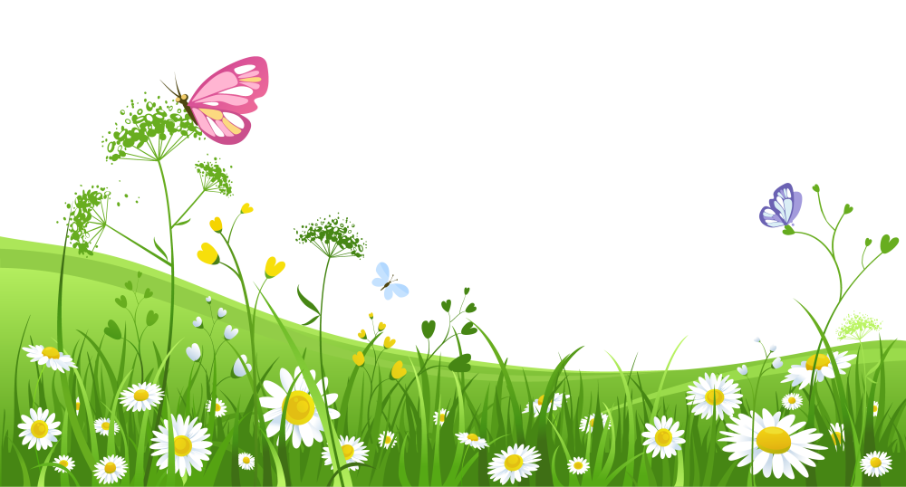 Сказочная Поляна в лесу