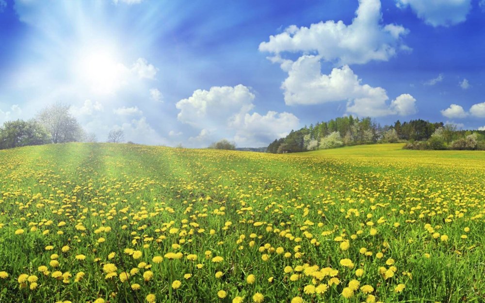 Детские фоны