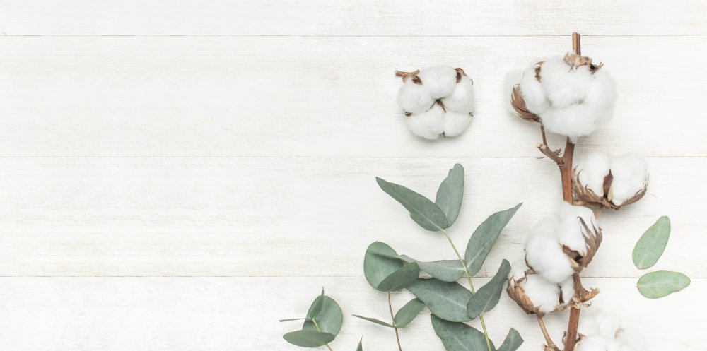 Акварельный фон для пригласительных эвкалипт