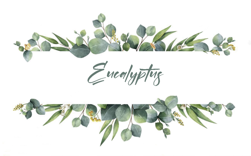 Акварельная зелень для пригласительных