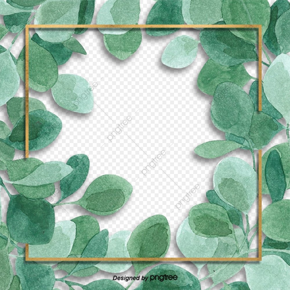 Ветка с листьями акварель