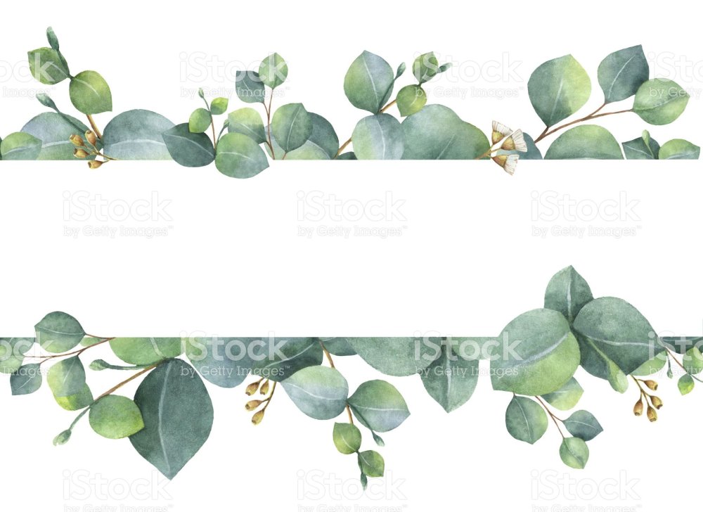 Зеленые ветки пригласительное