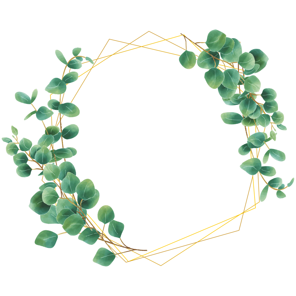 Ветка эвкалипта фон