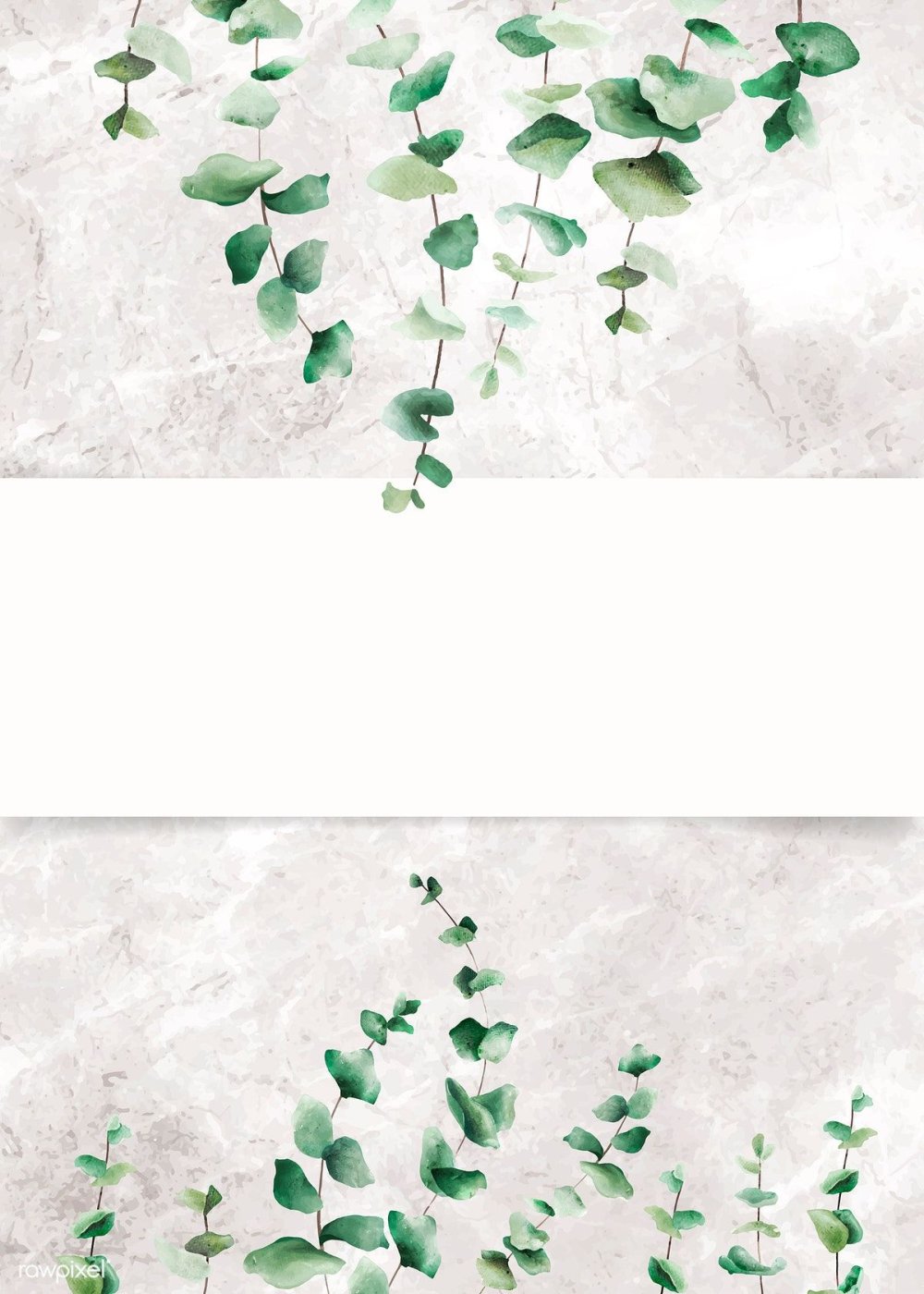 Эвкалиптовый орнамент