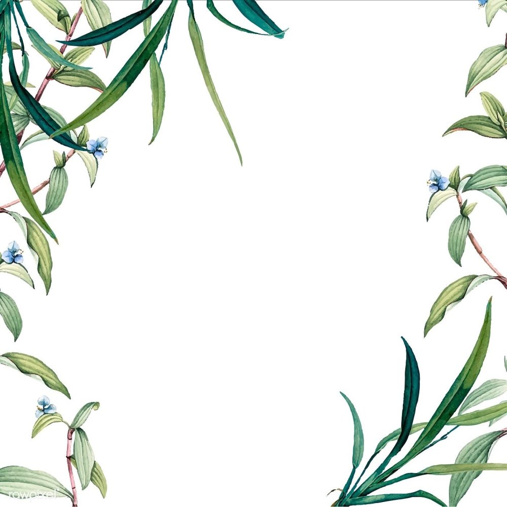 Зелень для пригласительных