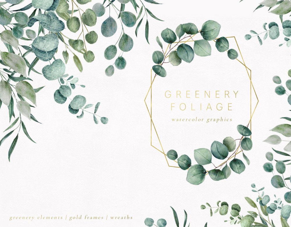 Фон для пригласительных эвкалипт