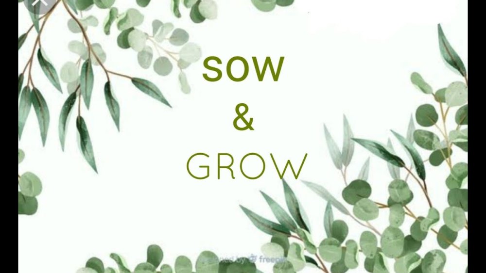 Фотофон с эвкалиптом