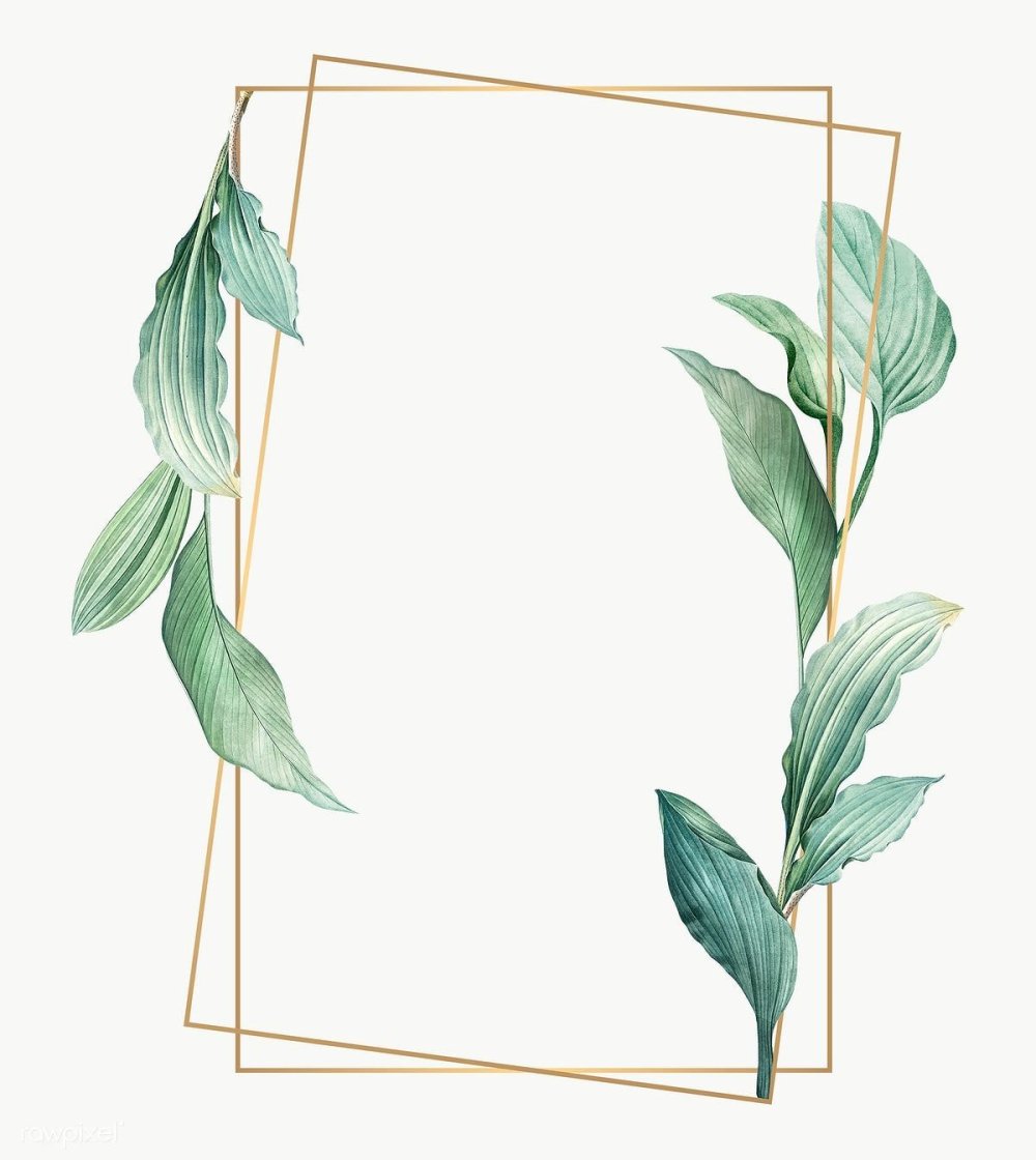 Зелень для пригласительных