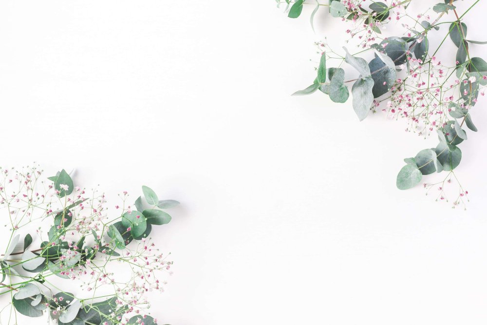 Рамка для текста эвкалипт