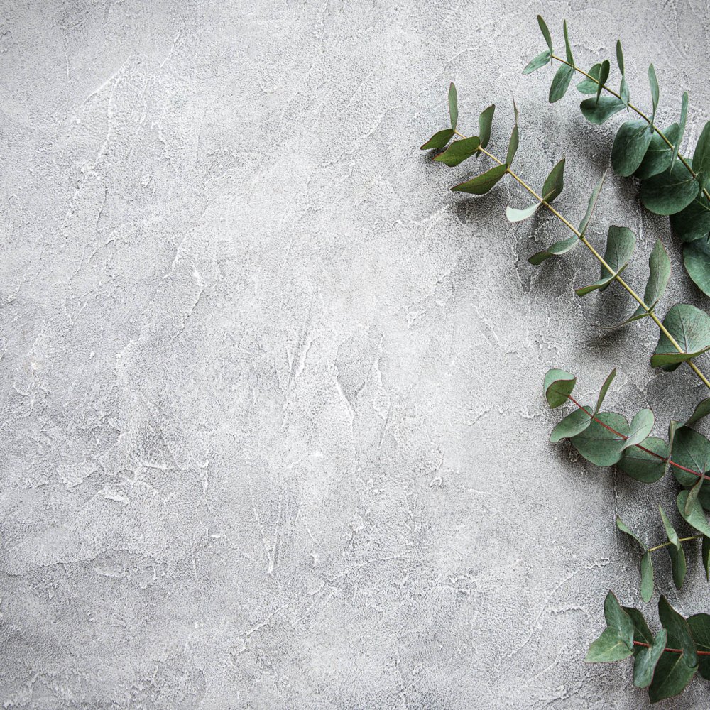 Фотофон с эвкалиптом