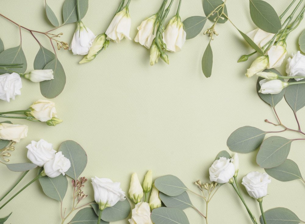 Фотообои с листьями эвкалипта