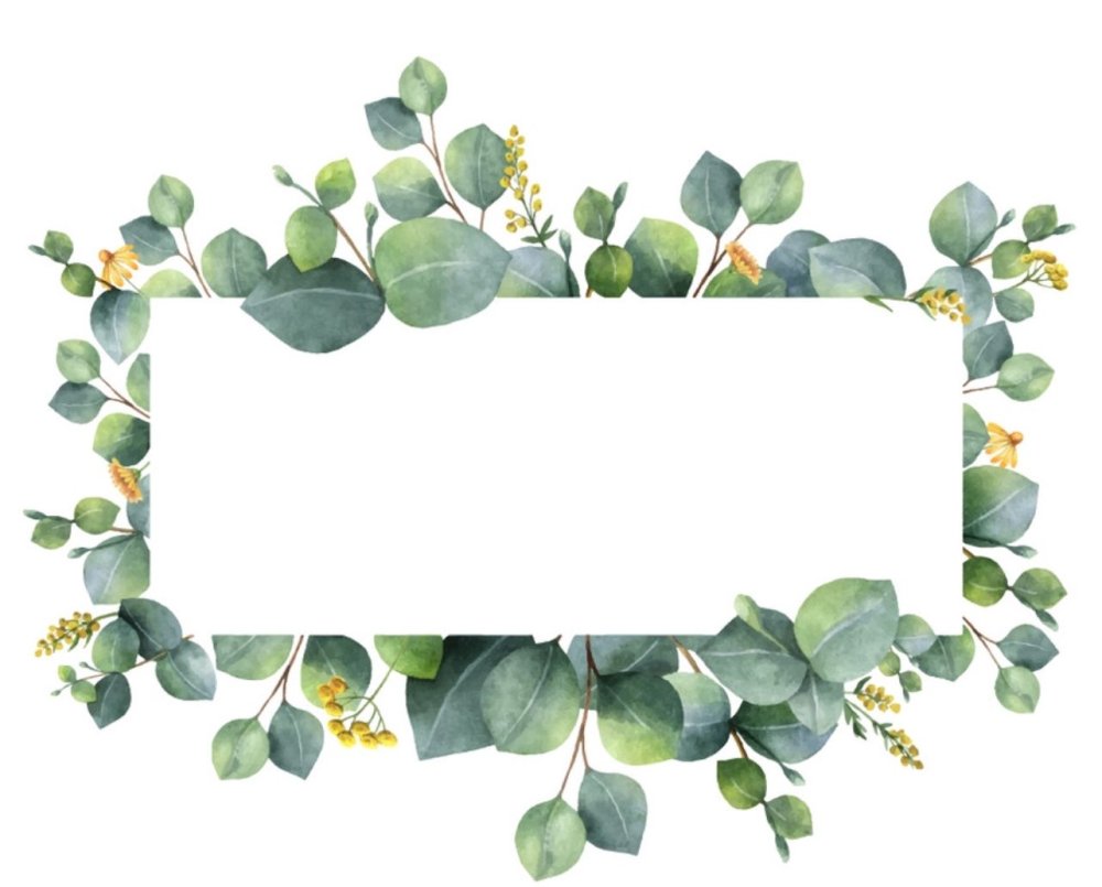 Рамочки с эвкалиптом