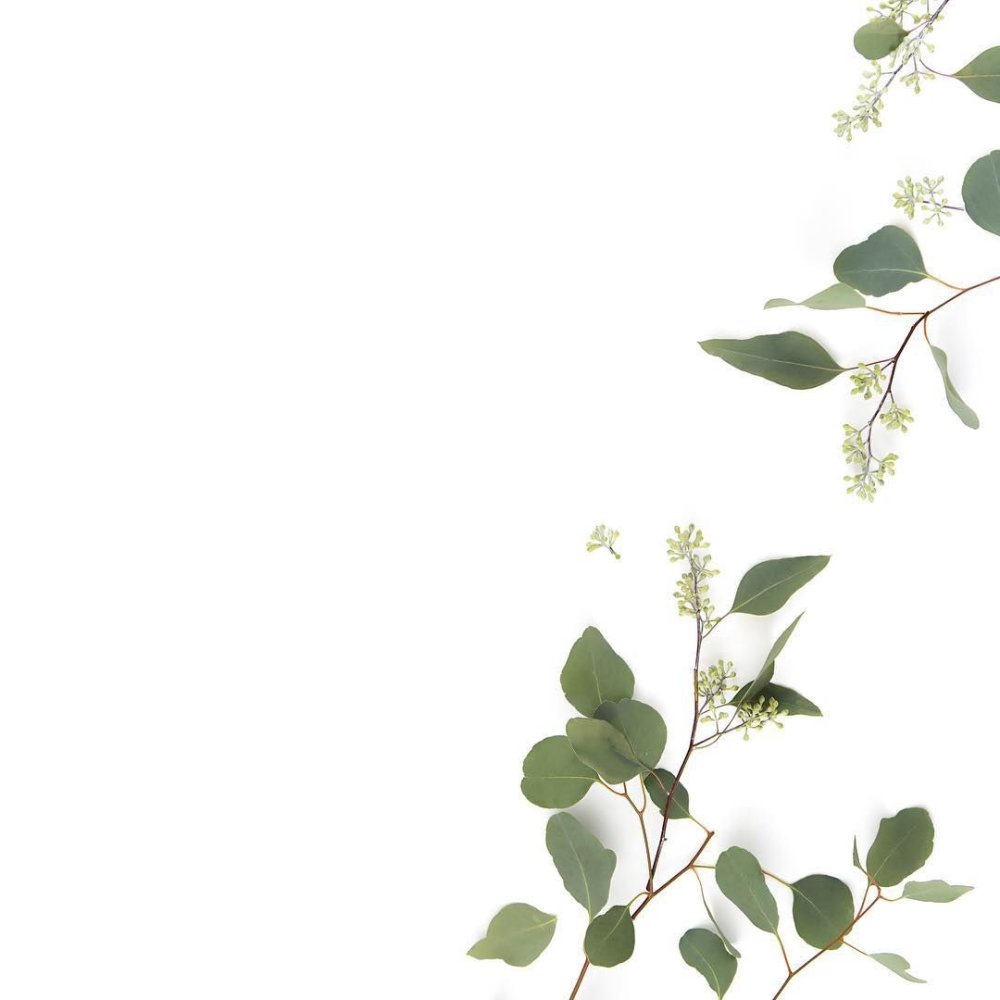 Зеленые ветки пригласительное