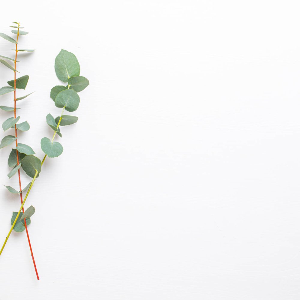 Приглашение с веточками эвкалипта