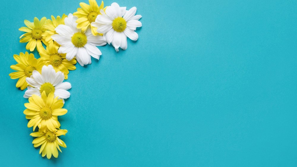 Фон с цветами