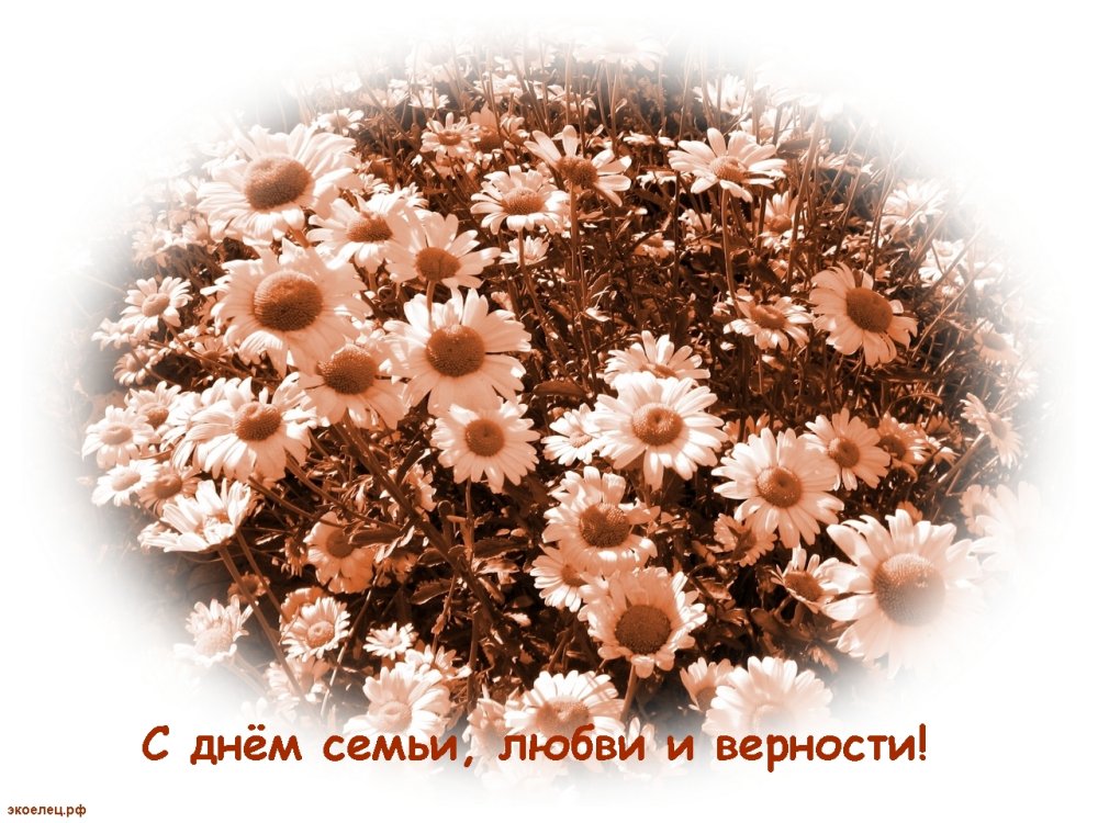 День чсемьи любвии верности