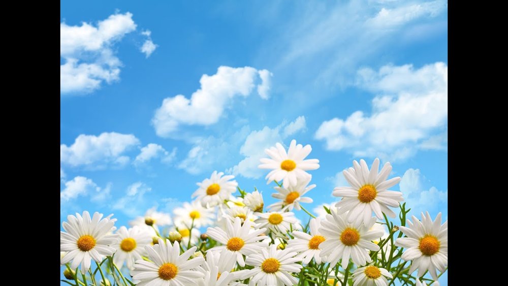 День Петра и Февронии день семьи любви и верности