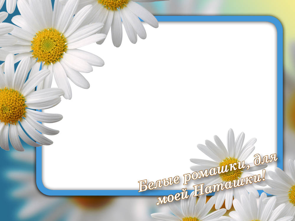 Семья в ромашках