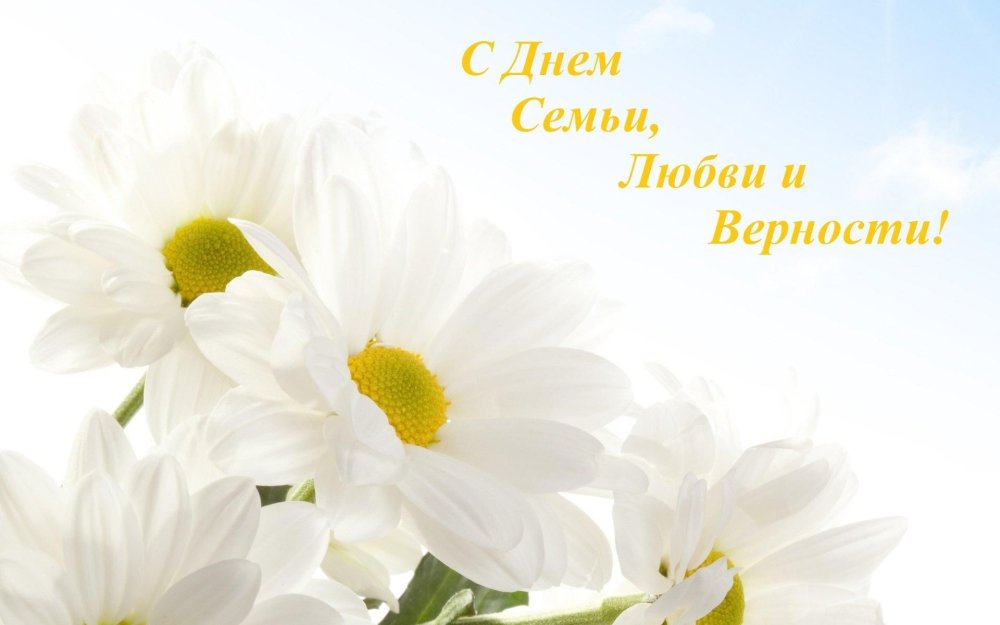 Семейная фотосессия в ромашках