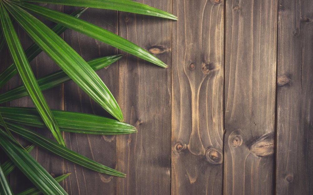 Фон деревянные доски