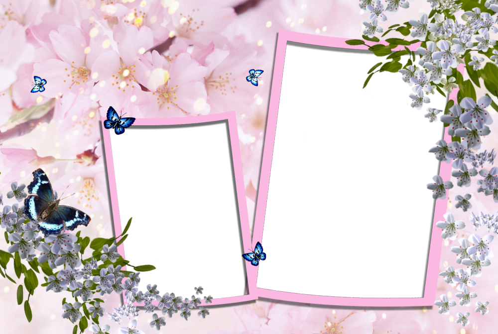 Фоторамки для фотографий