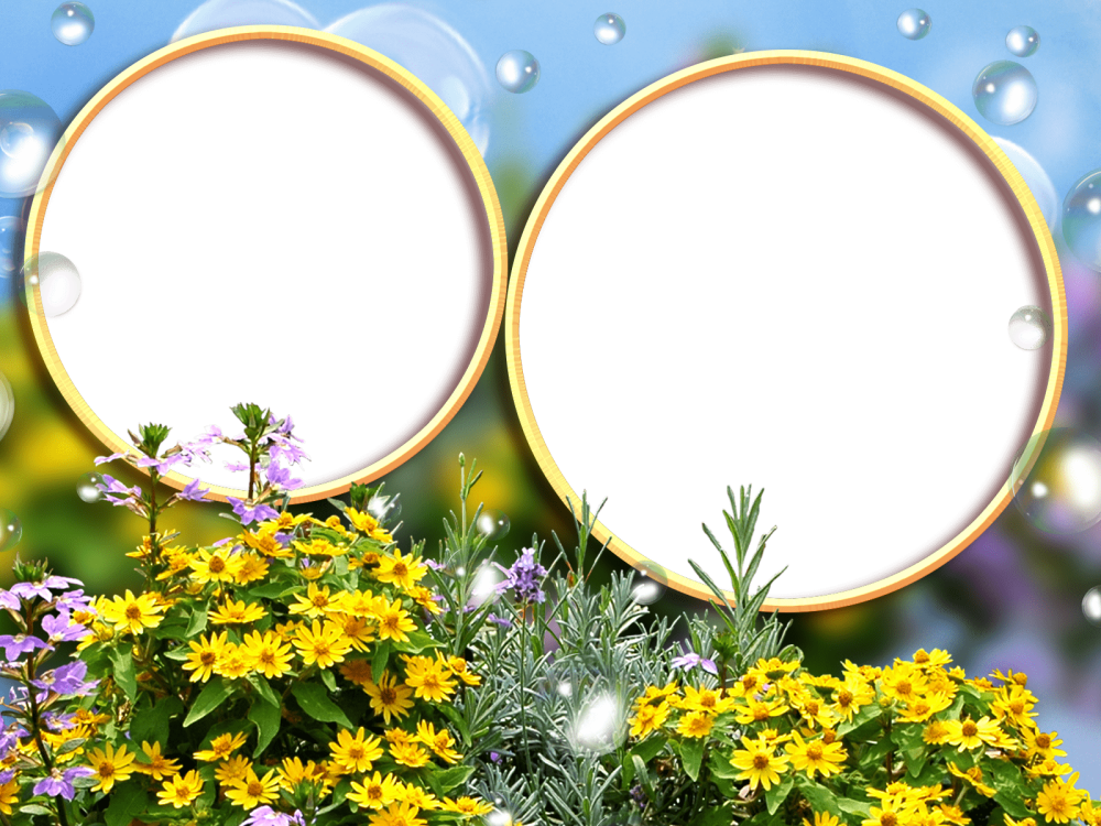 Рамка для фотографий