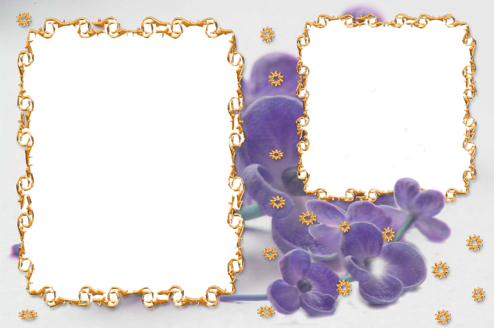 Двойные рамки для фотошопа на прозрачном фоне