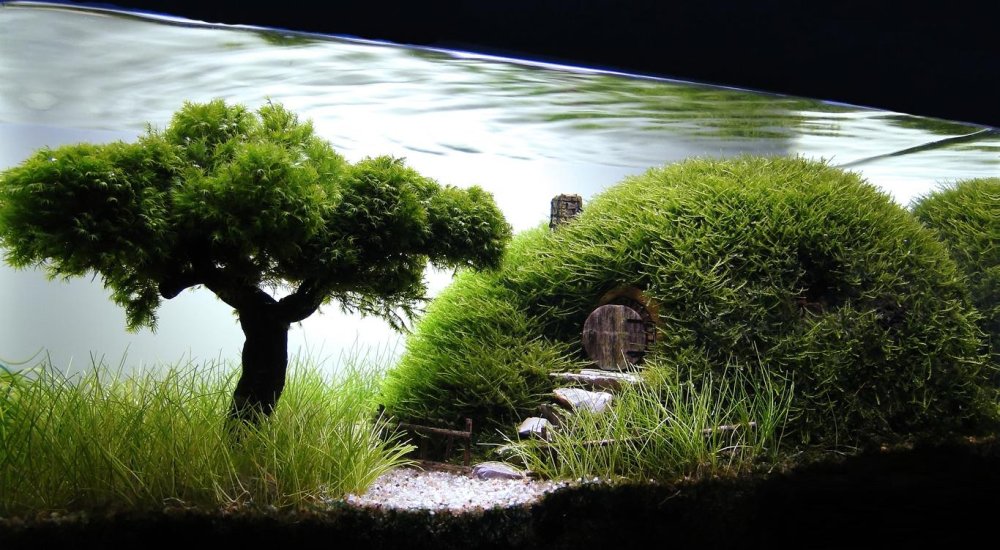 Летающий остров Такаши Амано