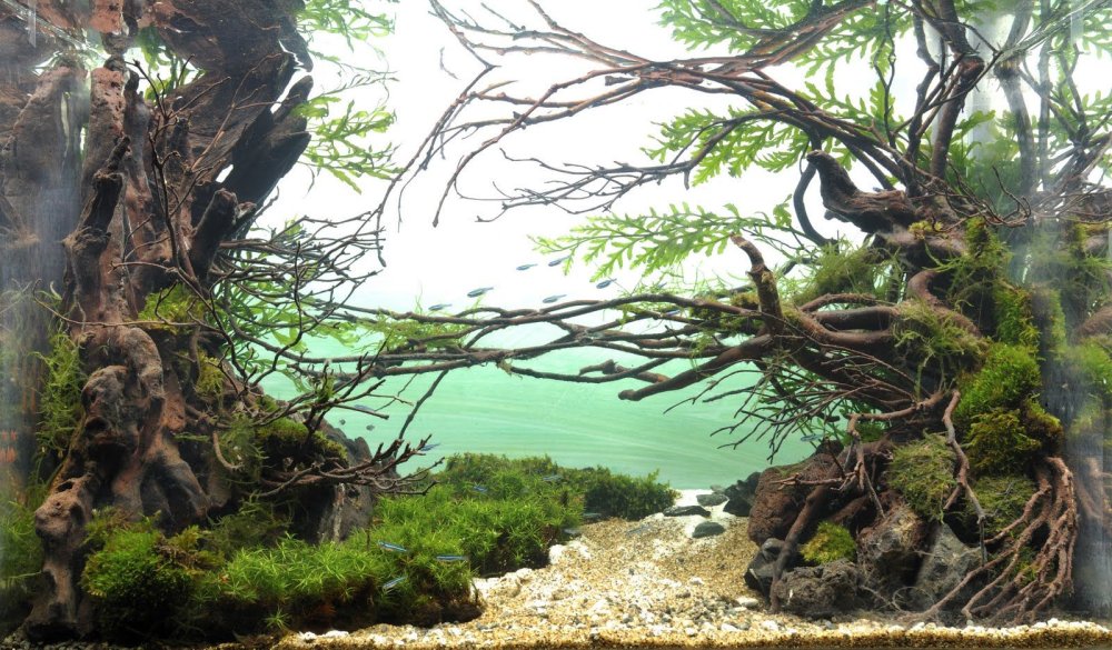 Акваскейп Атлантида