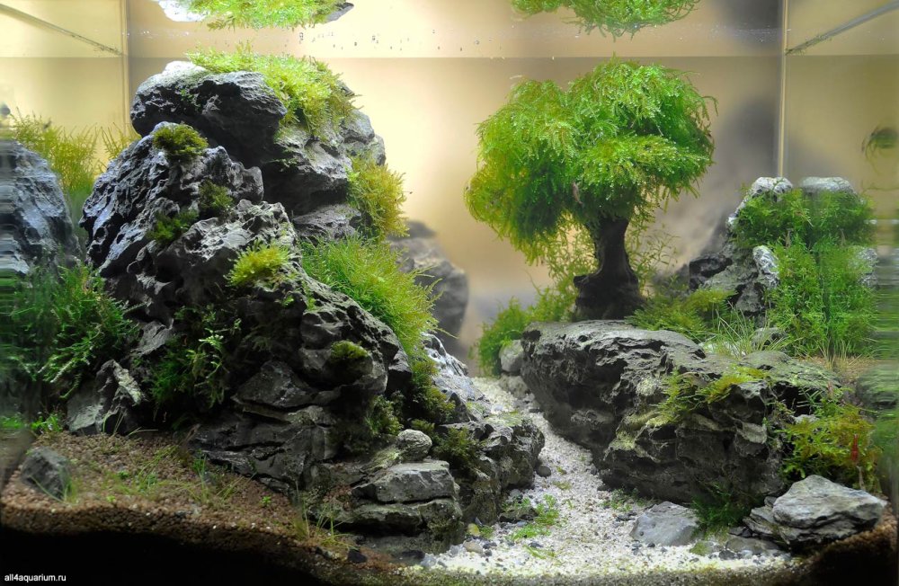 Аквариум акваскейп с камнями