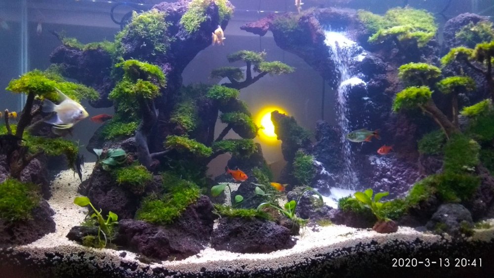 Приморский аквариум