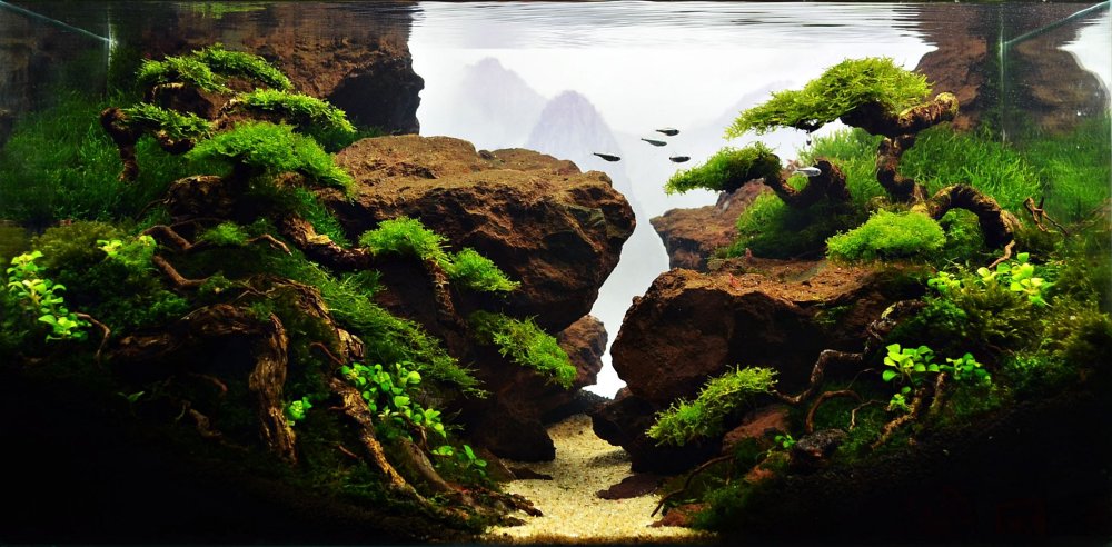 Акваскейп ущелье