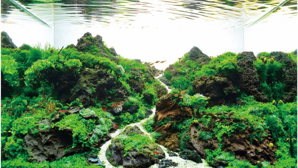 Летающий остров Такаши Амано