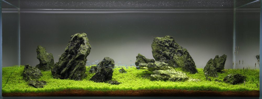 Нано хардскейп