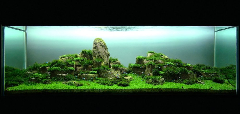 Акваскейп диабаз