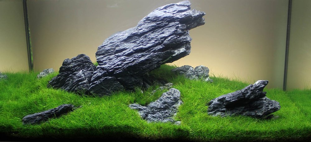 Хардскейп Амано