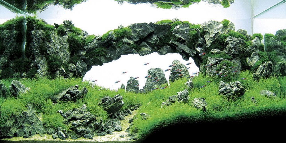 Ивагуми сад камней