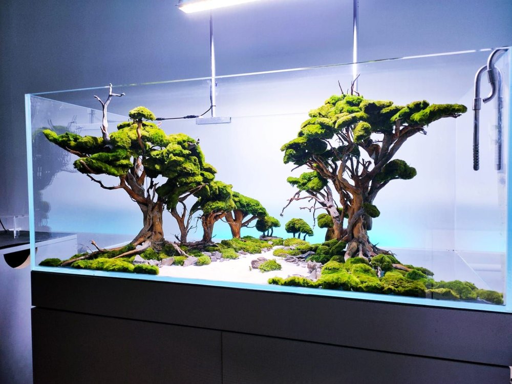 Акваскейп джунгли