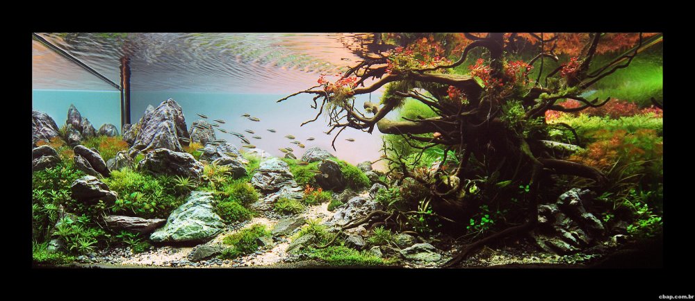 Хардскейп Ивагуми