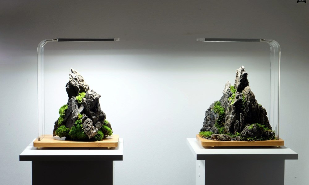 Хардскейп Амано