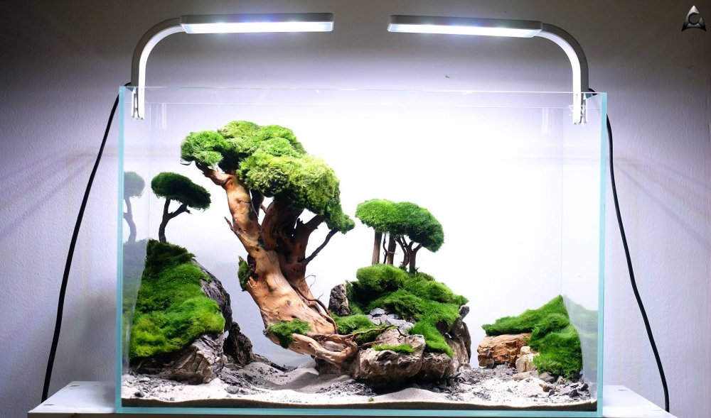 Акваскейп остров