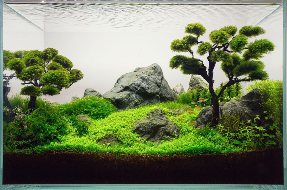 Акваскейп Минимализм с круглыми камнями