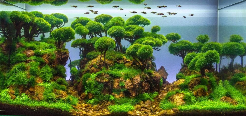 Морской акваскейп