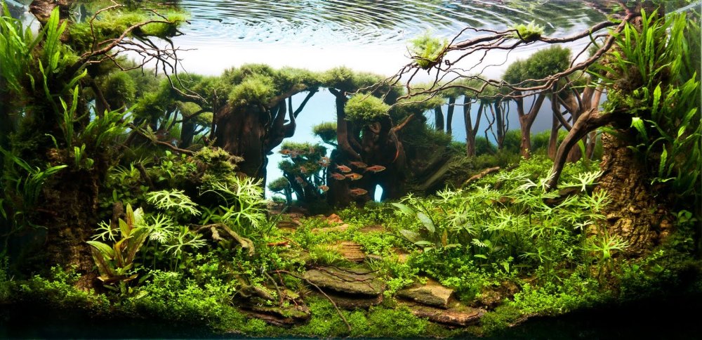 Акваскейп Павел Баутин